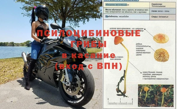 герыч Балахна